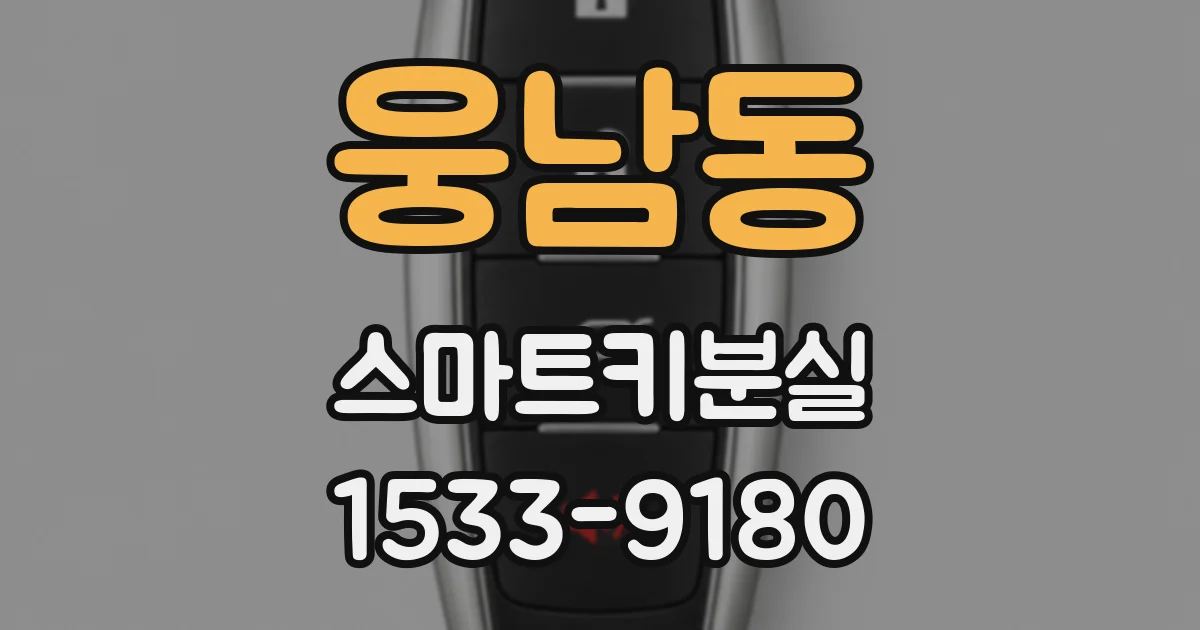 웅남동 스마트키분실