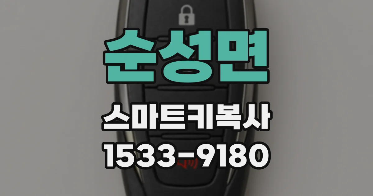 순성면 스마트키복사