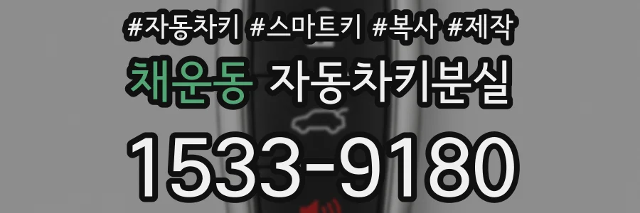 채운동 자동차키분실