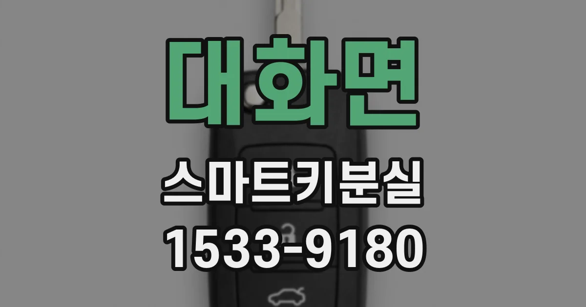 대화면 스마트키분실