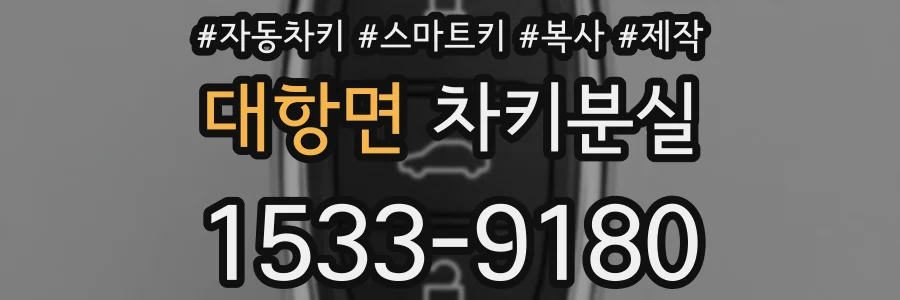 대항면 차키분실