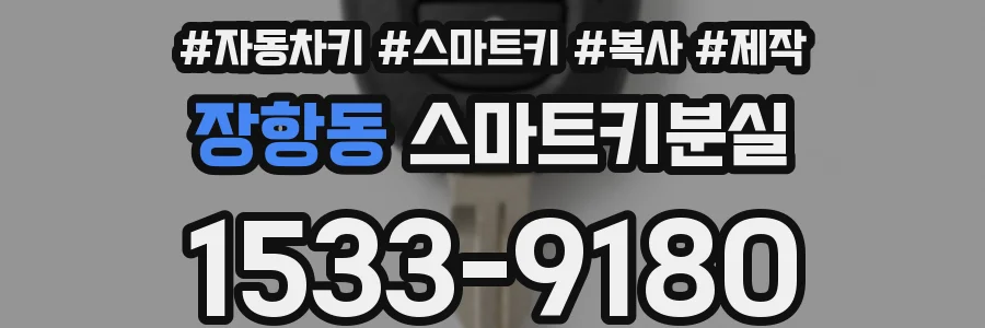장항동 스마트키분실