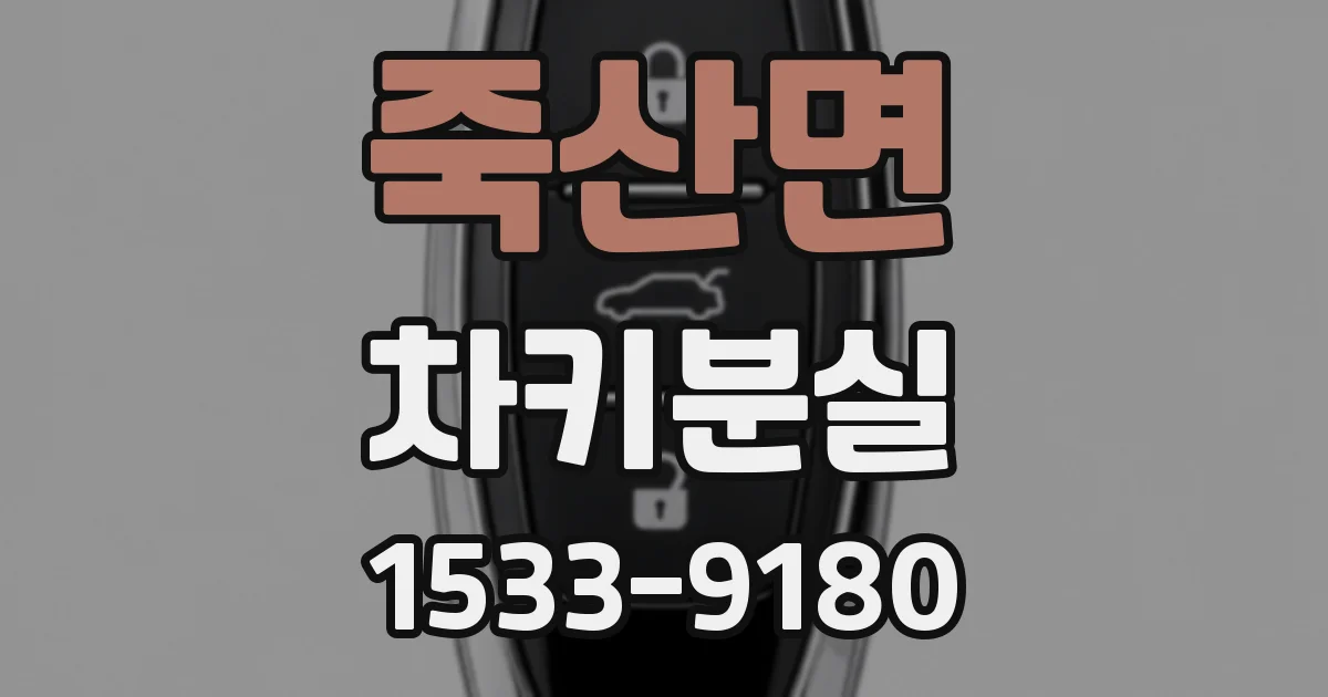죽산면 차키분실