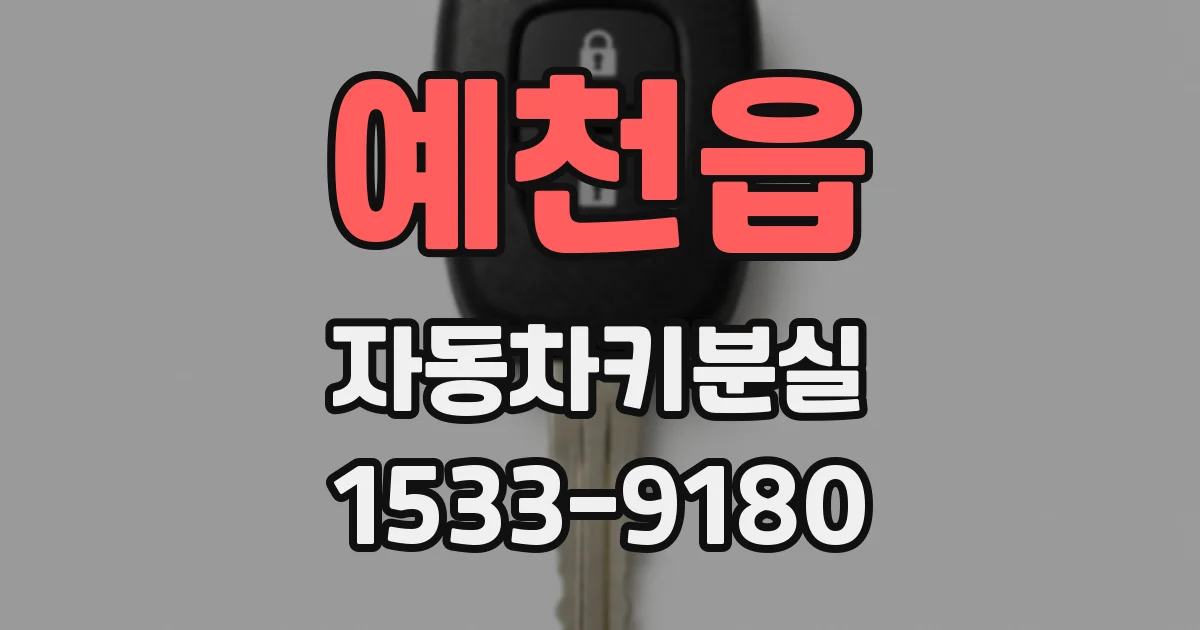 예천읍 자동차키분실