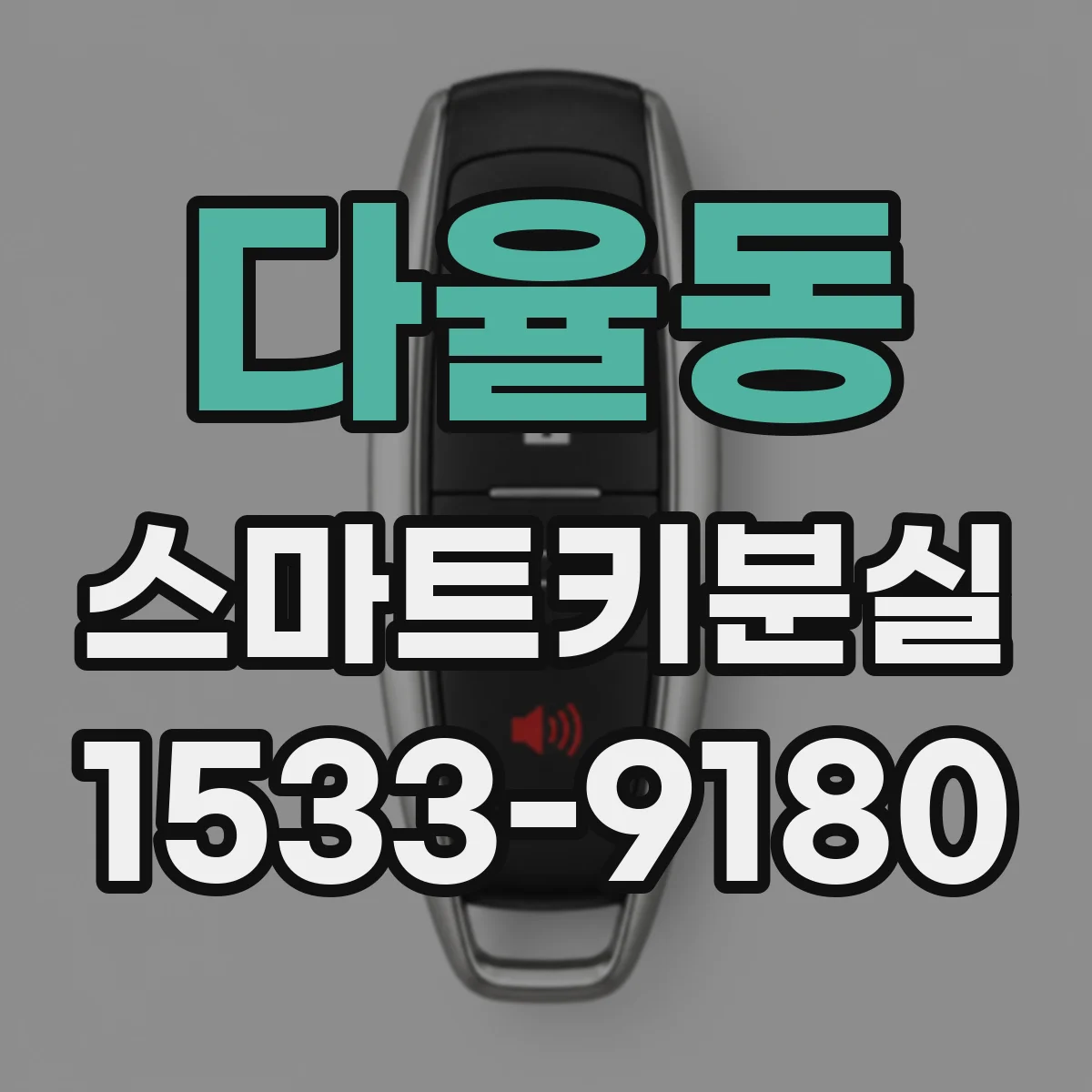다율동 스마트키분실