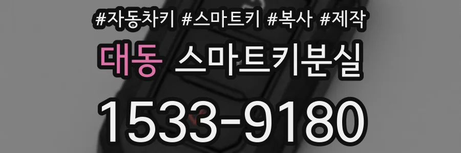 대동 스마트키분실