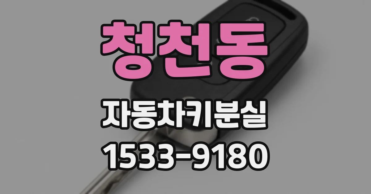 청천동 자동차키분실