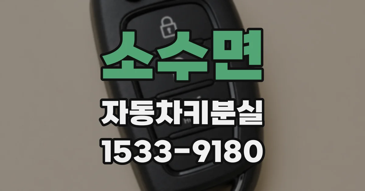 소수면 자동차키분실