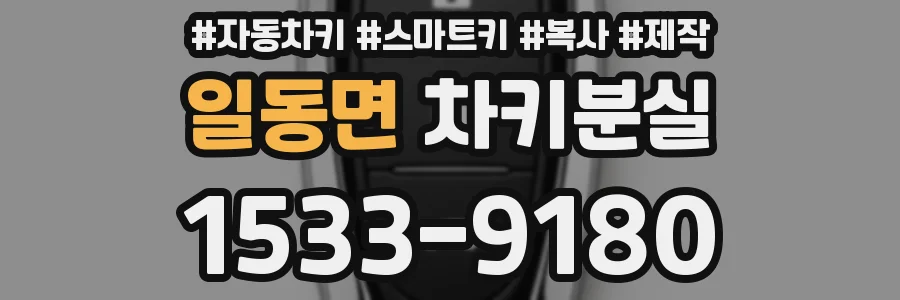 일동면 차키분실