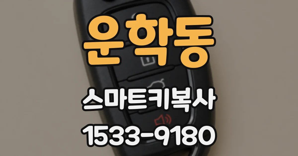운학동 스마트키복사