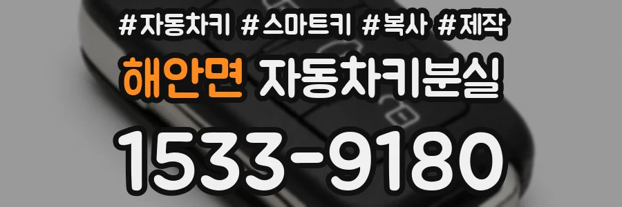 해안면 자동차키분실