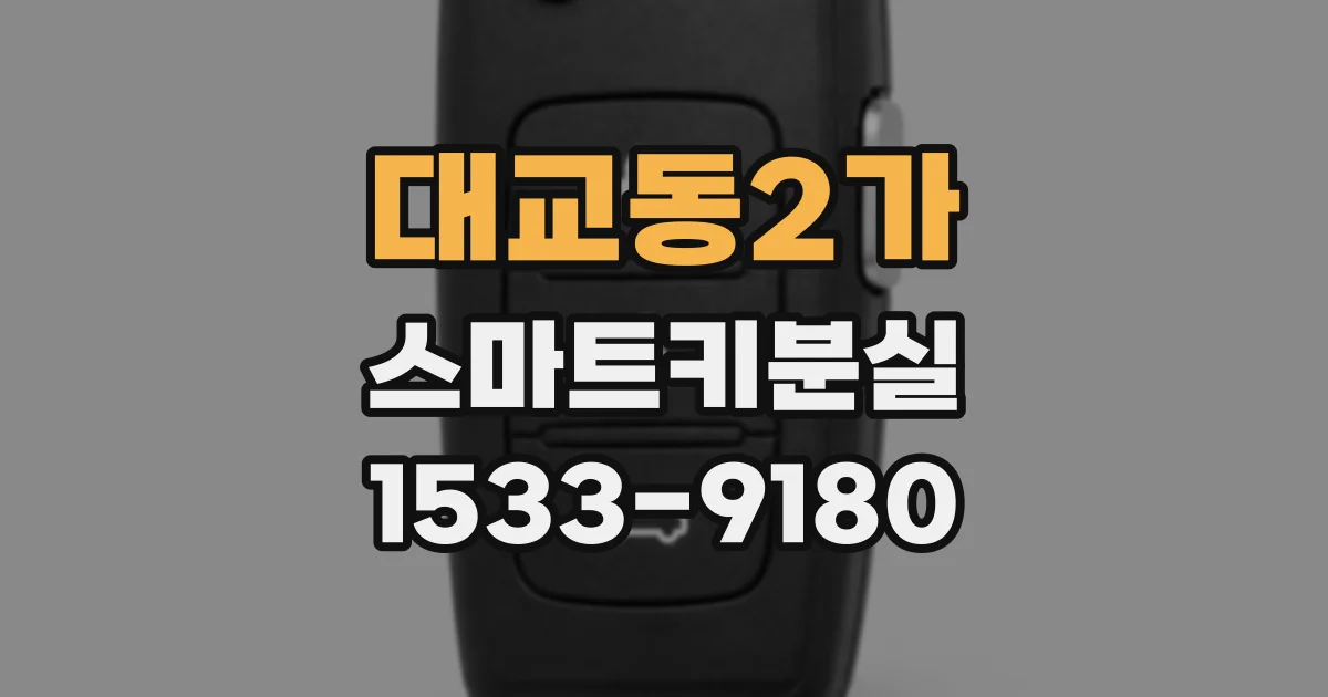 대교동2가 스마트키분실