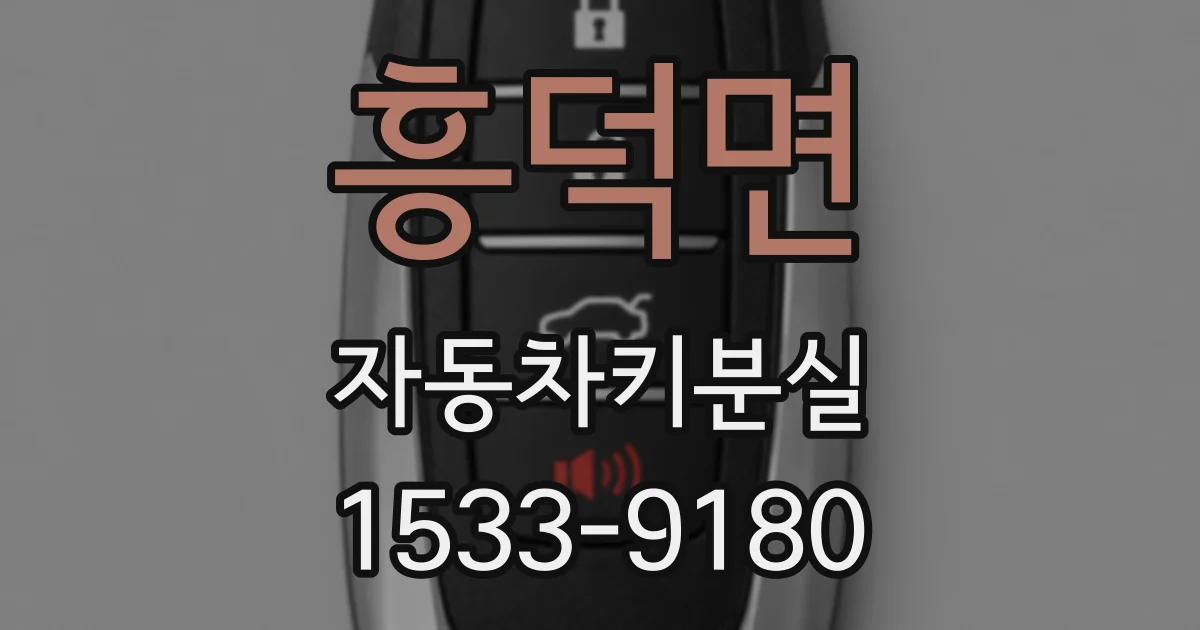 흥덕면 자동차키분실