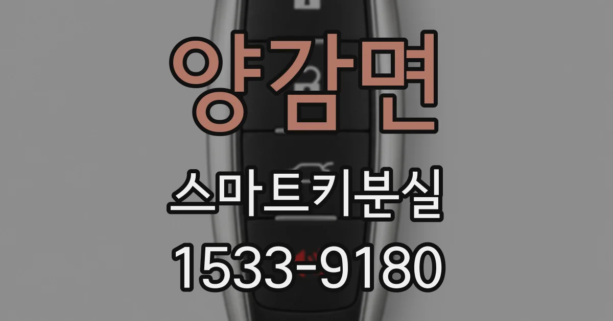 양감면 스마트키분실
