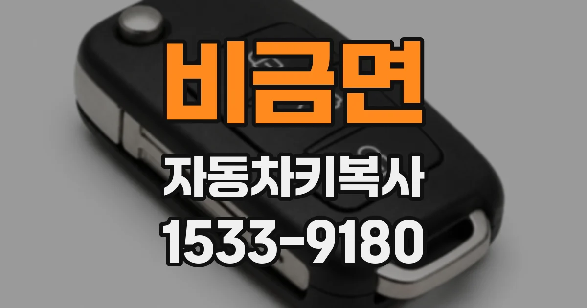 비금면 자동차키복사