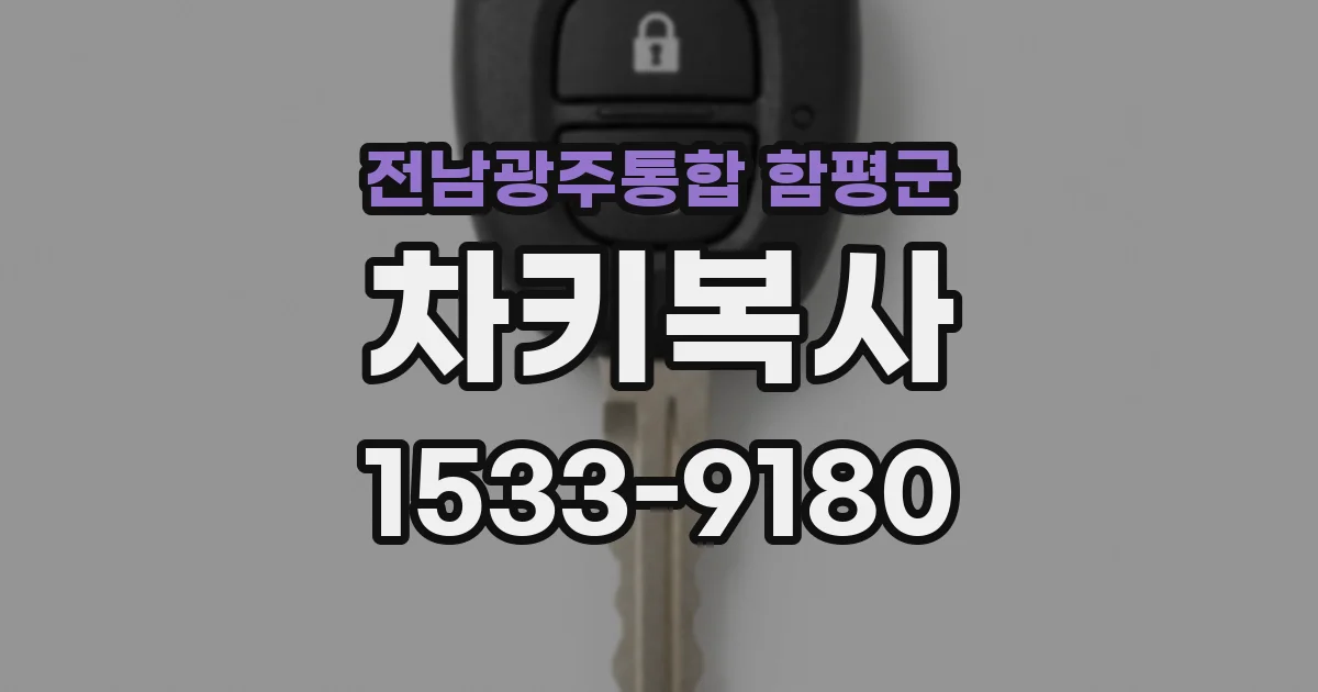 전남광주통합 함평군 차키복사