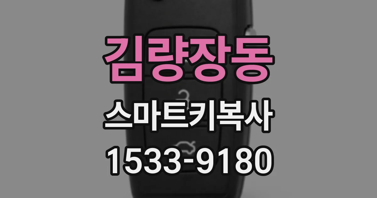 김량장동 스마트키복사
