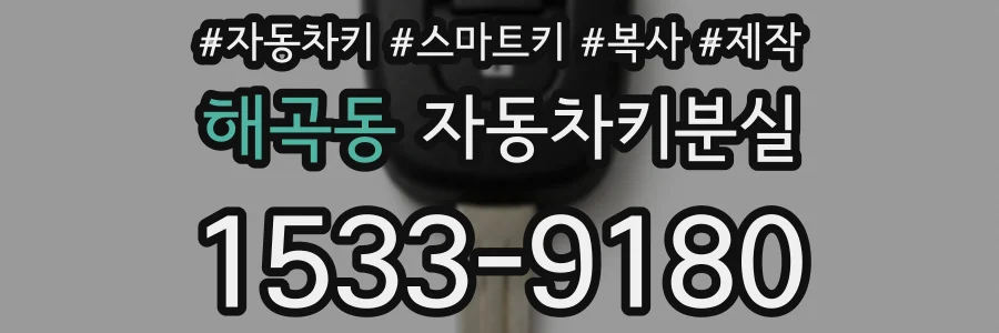 해곡동 자동차키분실