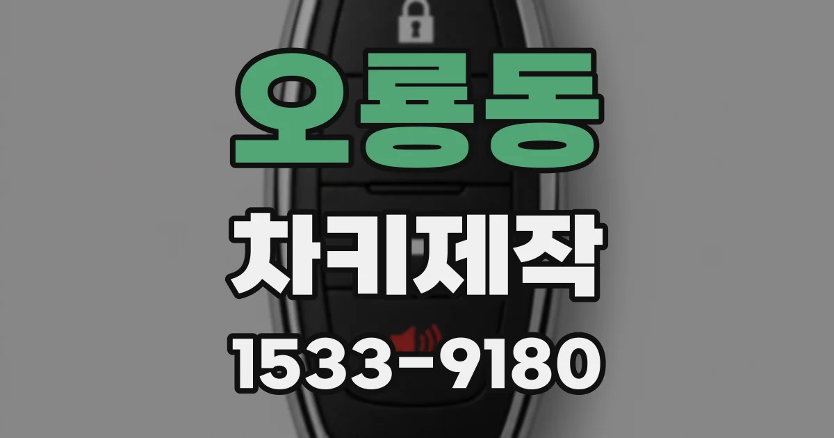 오룡동 차키제작