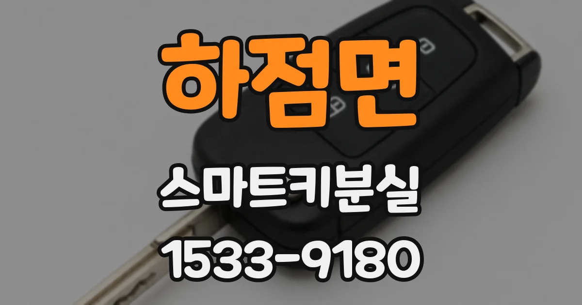 하점면 스마트키분실
