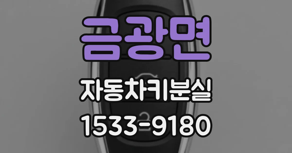 금광면 자동차키분실