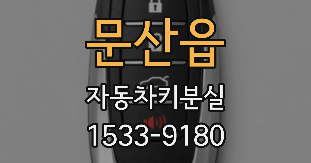 문산읍 자동차키분실