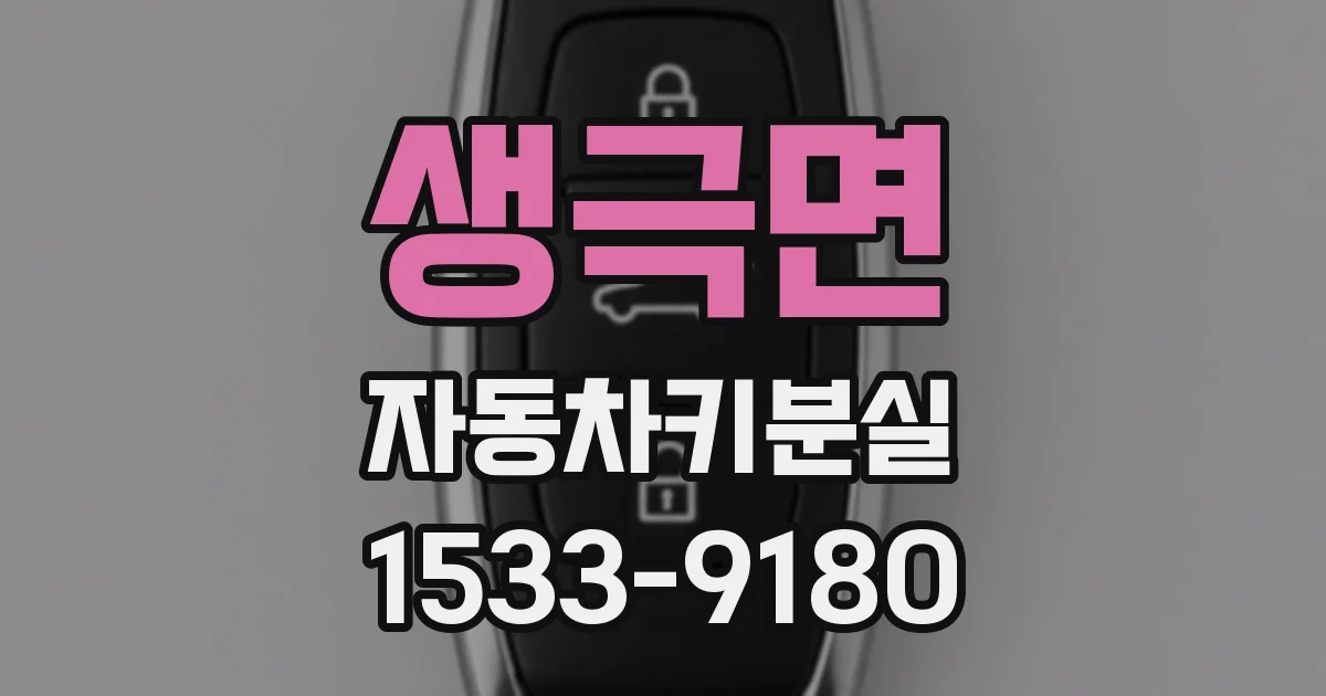생극면 자동차키분실