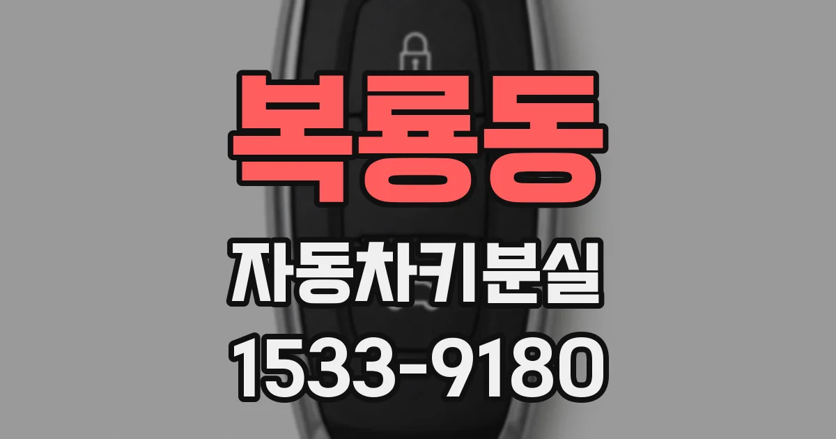 복룡동 자동차키분실
