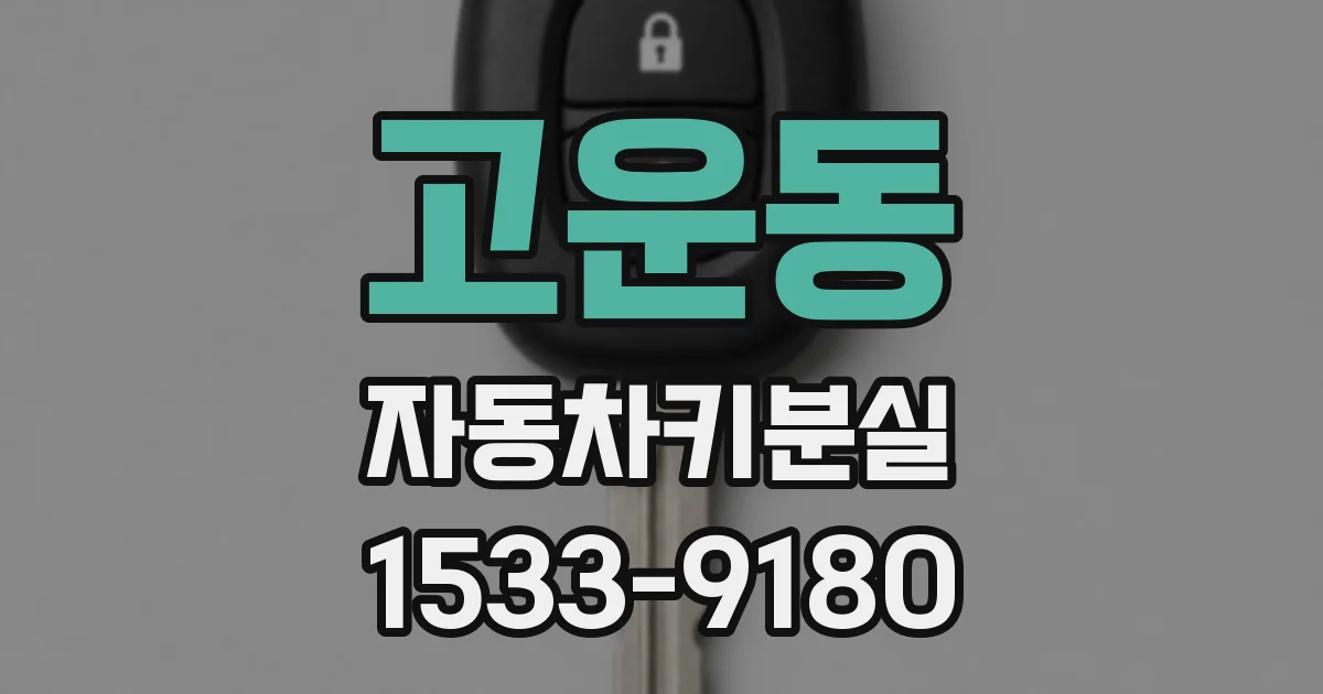 고운동 자동차키분실