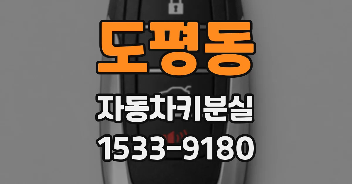도평동 자동차키분실