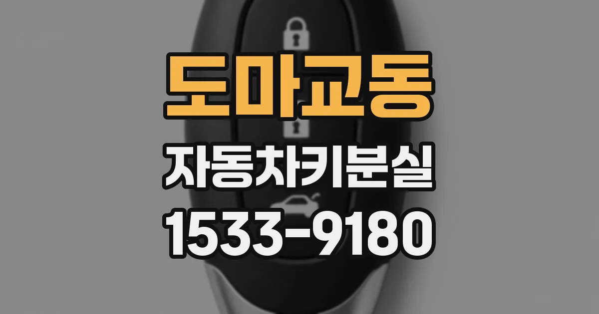 도마교동 자동차키분실