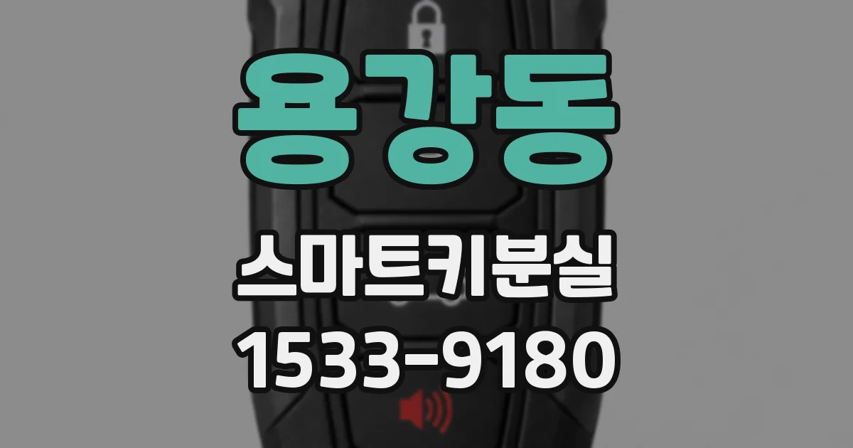 용강동 스마트키분실