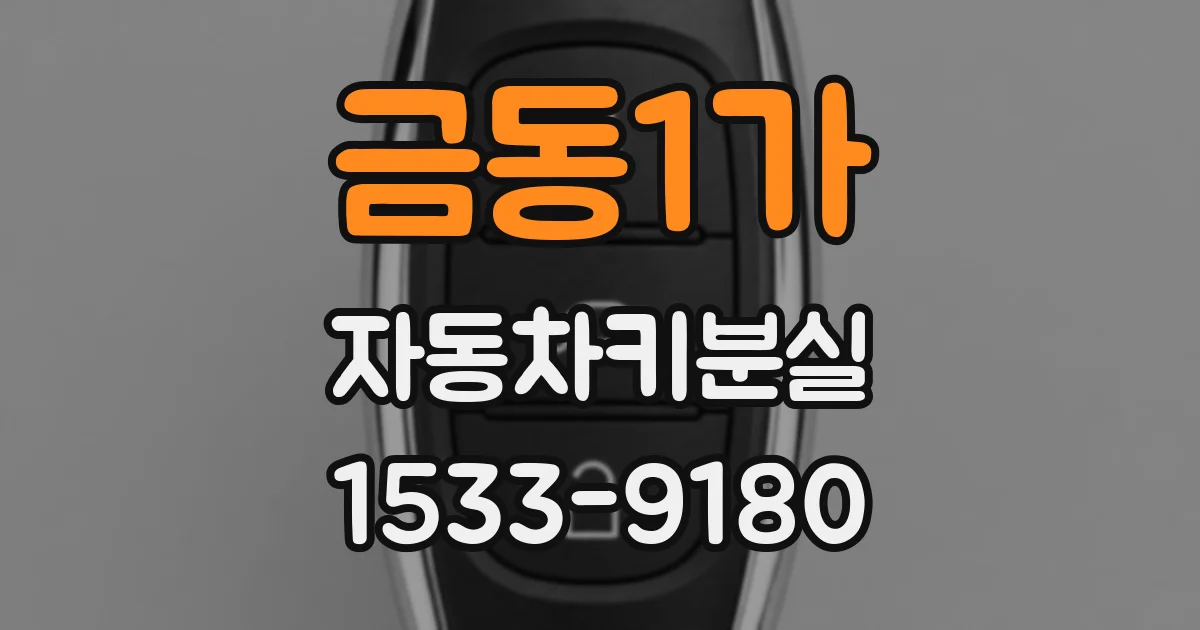 금동1가 자동차키분실