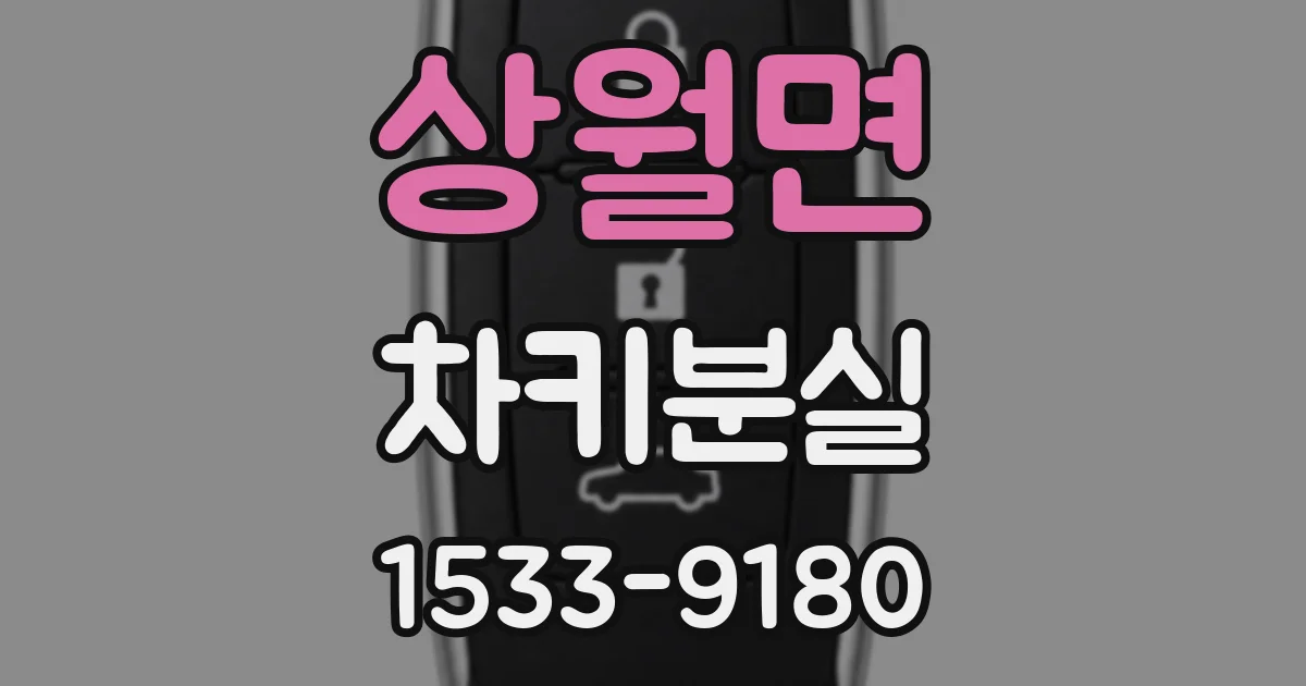 상월면 차키분실