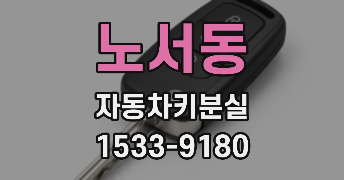 노서동 자동차키분실