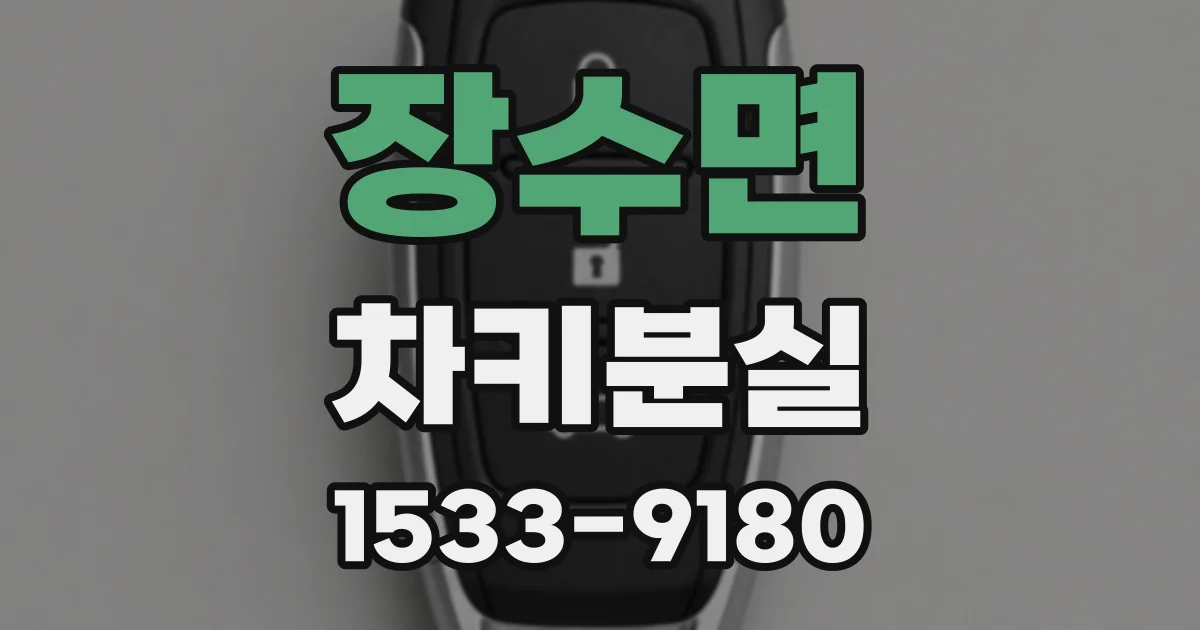 장수면 차키분실