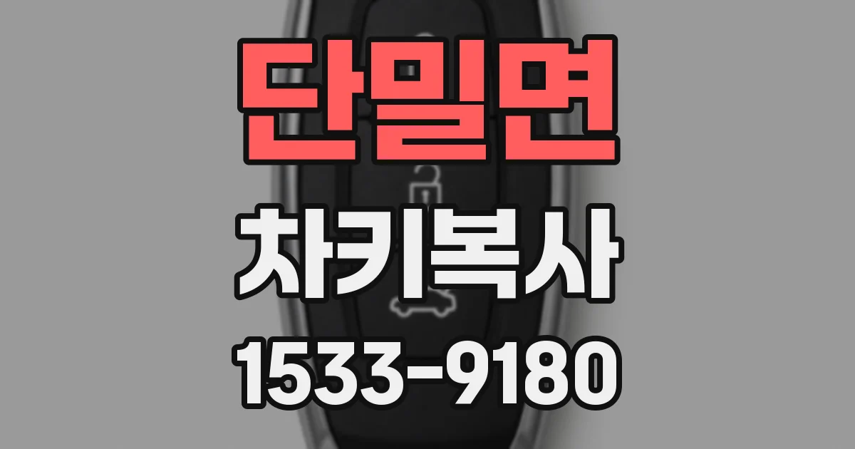 단밀면 차키복사