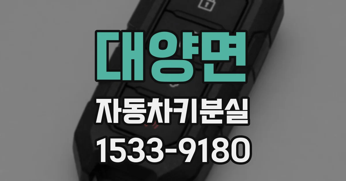 대양면 자동차키분실
