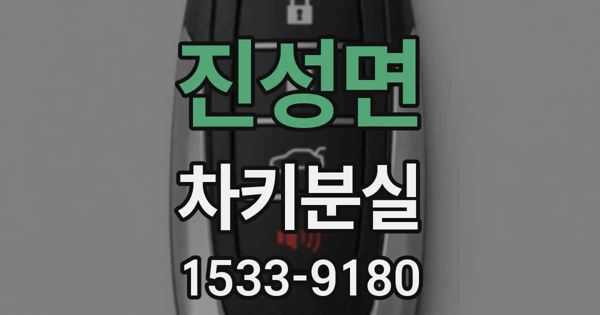 진성면 차키분실