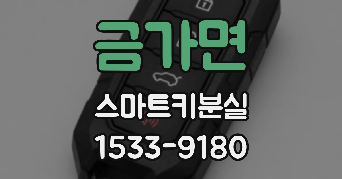 금가면 스마트키분실