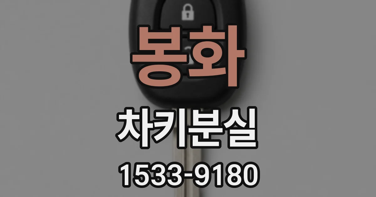 봉화 차키분실