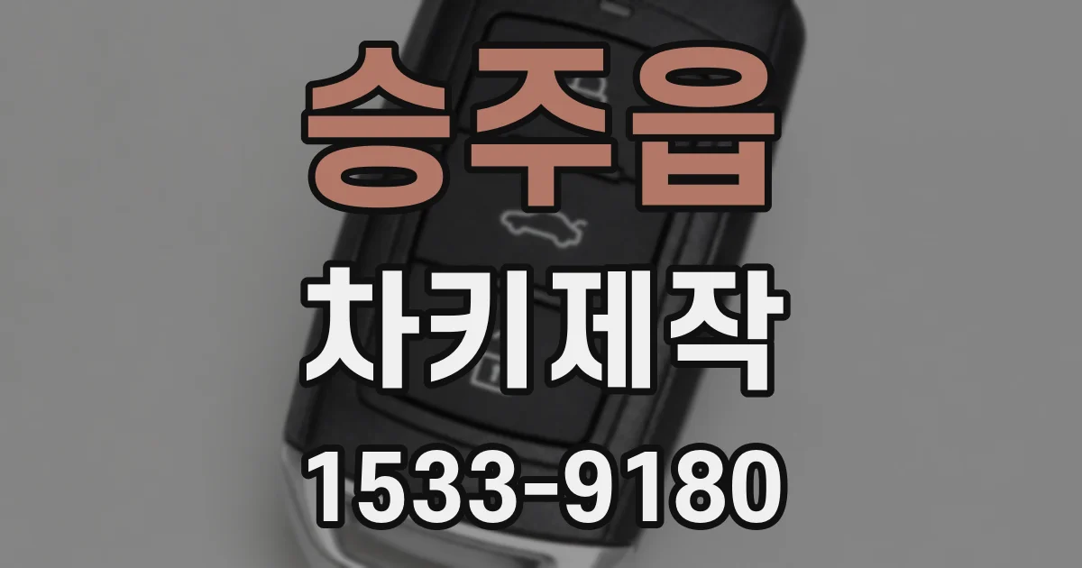 승주읍 차키제작