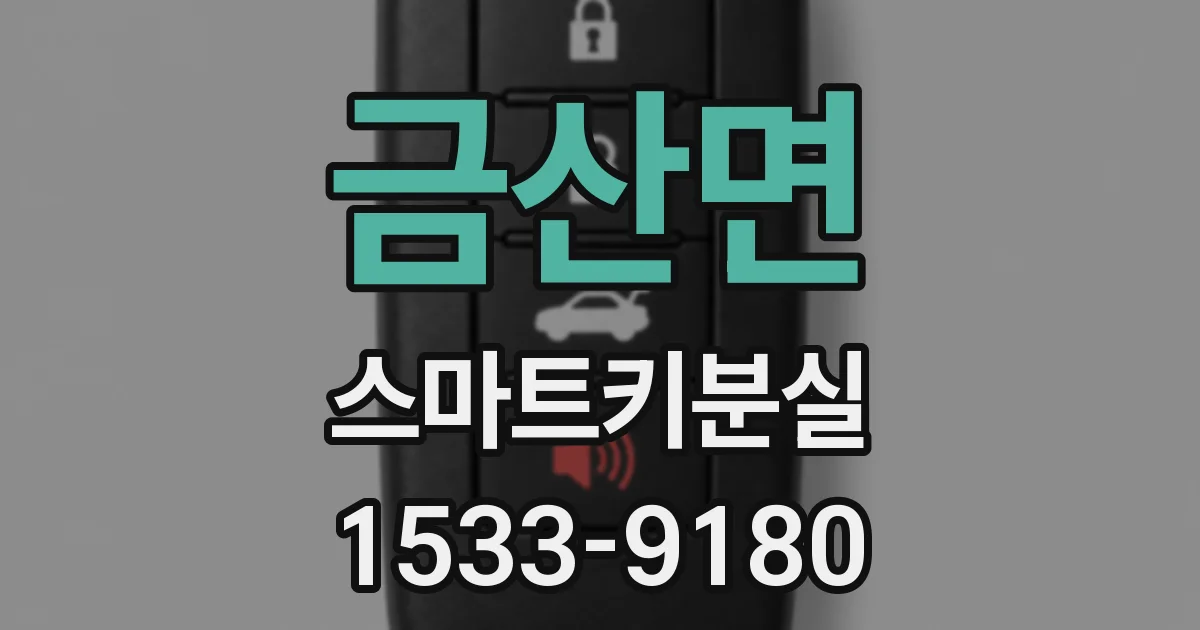 금산면 스마트키분실