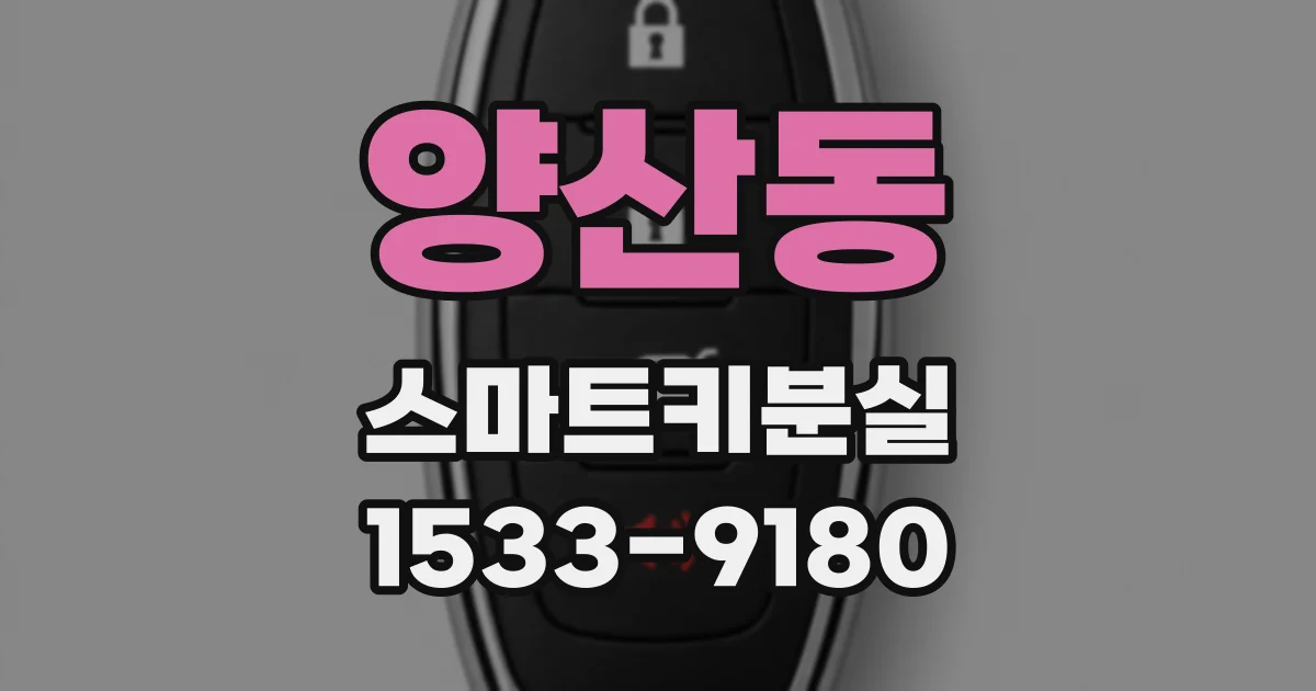 양산동 스마트키분실