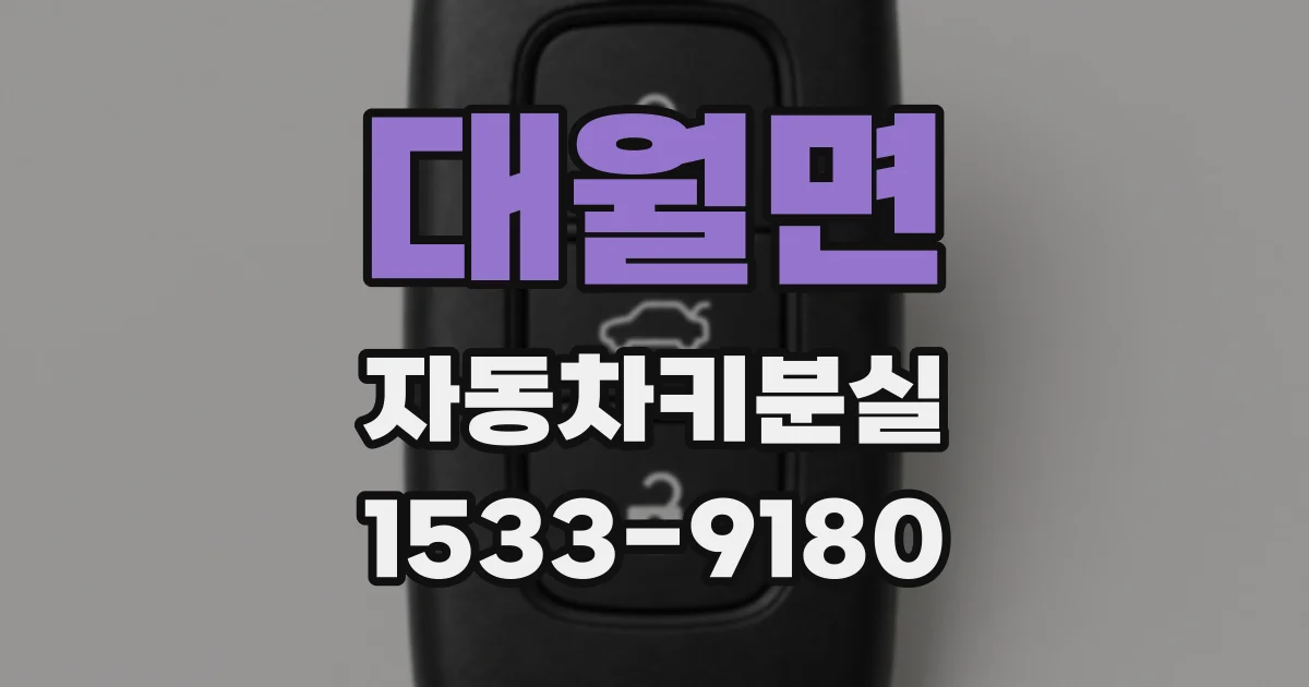 대월면 자동차키분실