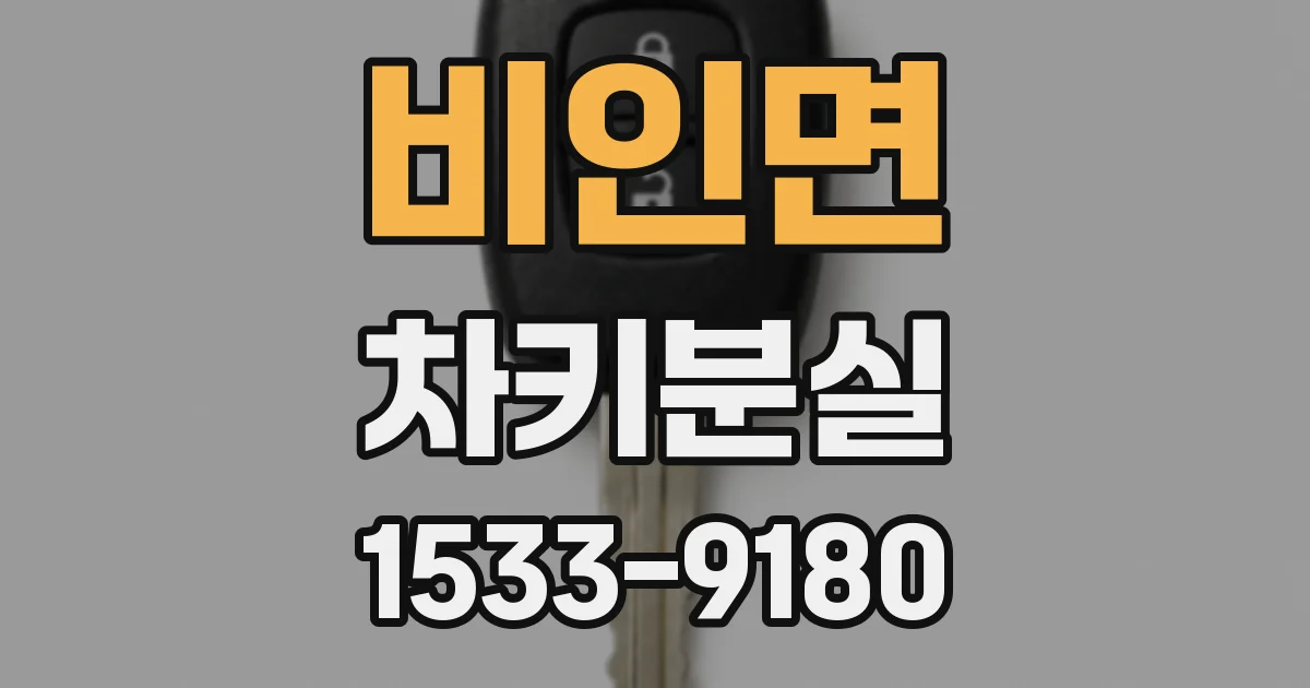 비인면 차키분실