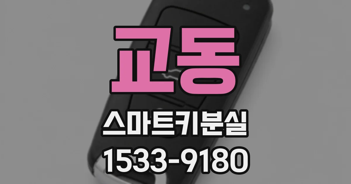 교동 스마트키분실