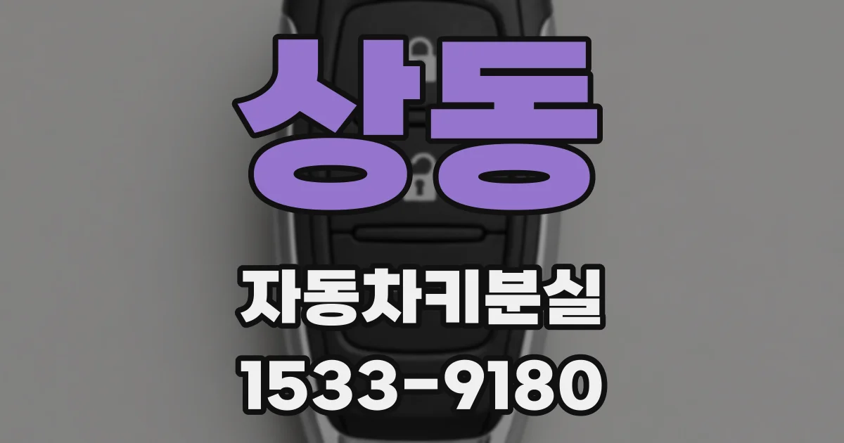 상동 자동차키분실