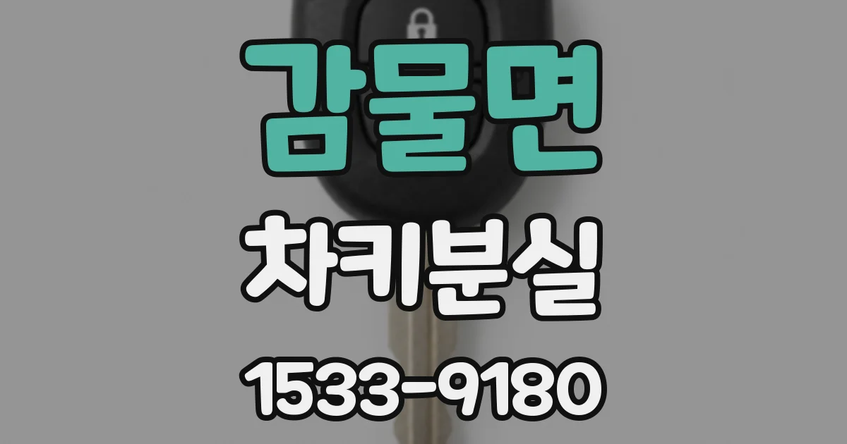 감물면 차키분실