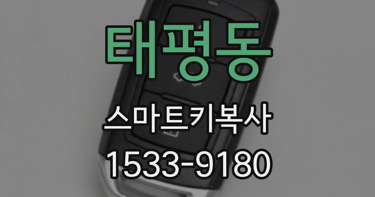 태평동 스마트키복사